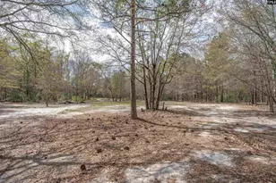 166 Woodcrest Ln, Gaston, SC 29053 - Photo 47