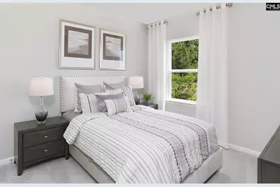 173 Monroe Preserve Lane, Chapin, SC 29036 - Photo 11