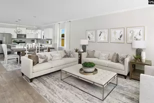 173 Monroe Preserve Ln, Chapin, SC 29036 - Photo 9