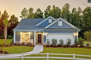 173 Monroe Preserve Ln, Chapin, SC 29036 - Photo 1