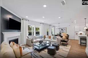 180 Monroe Preserve Ln, Chapin, SC 29036 - Photo 9