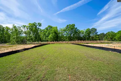 180 Monroe Preserve Lane, Chapin, SC 29036 - Photo 39