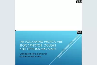 180 Monroe Preserve Lane, Chapin, SC 29036 - Photo 5