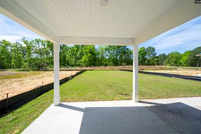 180 Monroe Preserve Lane, Chapin, SC 29036 - Photo 37