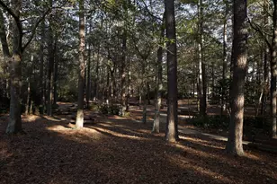 746 Ben Gunn Run, Gilbert, SC 29054 - Photo 37