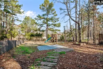 195 Lexington Lane, Chapin, SC 29036 - Photo 33