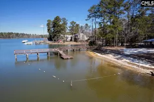 195 Lexington Ln, Chapin, SC 29036 - Photo 45