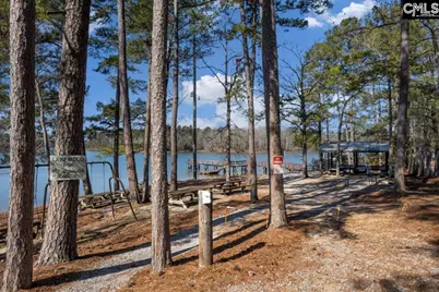 195 Lexington Lane, Chapin, SC 29036 - Photo 43