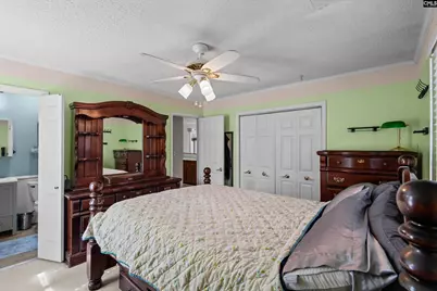 195 Lexington Lane, Chapin, SC 29036 - Photo 15