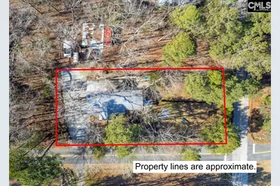 195 Lexington Lane, Chapin, SC 29036 - Photo 37