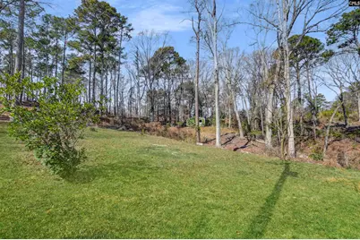 702 Hope Ferry Road, Lexington, SC 29072 - Photo 37