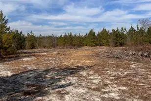 3061 Arcadia Rd, Bethune, SC 29009 - Photo 1