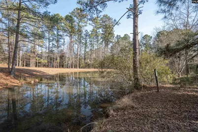 26 Retreat Lane, Columbia, SC 29209 - Photo 31