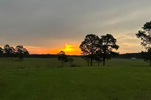 1854 Koon Rd, Lugoff, SC 29078 - Photo 61