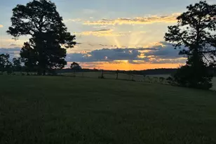 1854 Koon Rd, Lugoff, SC 29078 - Photo 57