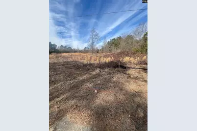 1650 Broad Street, Leesville, SC 29070 - Photo 3