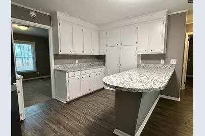 960 Old Charleston Road, Pelion, SC 29123 - Photo 13