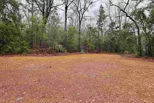 960 Old Charleston Rd, Pelion, SC 29123 - Photo 29