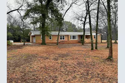 960 Old Charleston Road, Pelion, SC 29123 - Photo 3