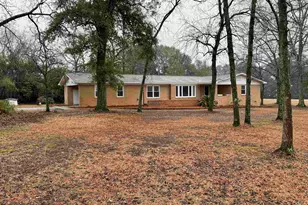 960 Old Charleston Rd, Pelion, SC 29123 - Photo 3