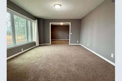 960 Old Charleston Road, Pelion, SC 29123 - Photo 7