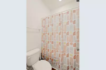 487 Pine Knot Road, Blythewood, SC 29016 - Photo 39