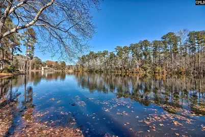 46 Woodwind Court, Columbia, SC 29209 - Photo 63