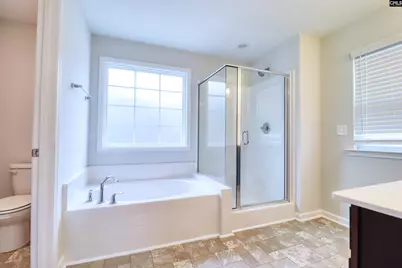 1425 Tamarind Lane, Chapin, SC 29036 - Photo 13