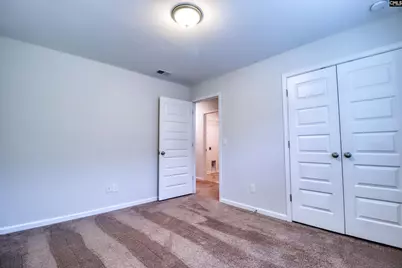 1425 Tamarind Lane, Chapin, SC 29036 - Photo 9