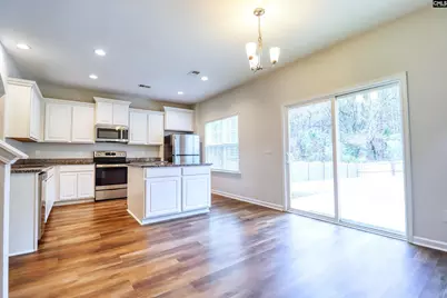 1425 Tamarind Lane, Chapin, SC 29036 - Photo 7