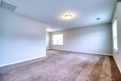 1425 Tamarind Lane, Chapin, SC 29036 - Photo 11