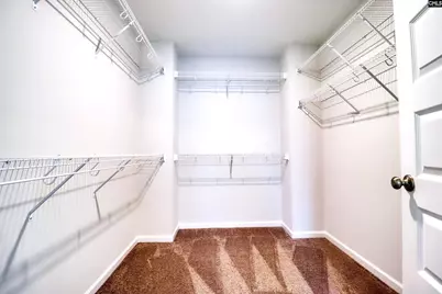 1425 Tamarind Lane, Chapin, SC 29036 - Photo 15