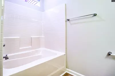 1355 Tamarind Lane, Chapin, SC 29036 - Photo 9