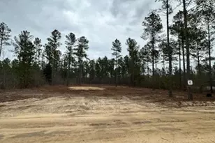 03 Otis Baughman S R Rd, Wagener, SC 29164 - Photo 1