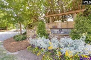 412 Plymouth Pass Dr, Lexington, SC 29072 - Photo 41