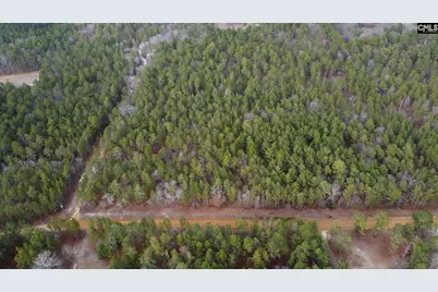 Tbd Windsong Lane 16 #16, Pelion, SC 29123 - Photo 3