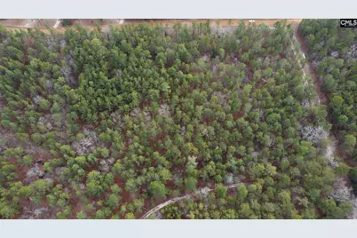 Tbd Windsong Lane 16 #16, Pelion, SC 29123 - Photo 5