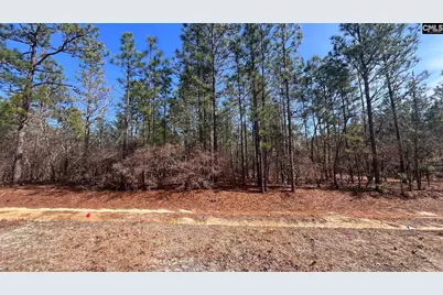 Tbd Windsong Lane 16 #16, Pelion, SC 29123 - Photo 9