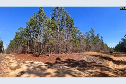 Tbd Windsong Lane 16 #16, Pelion, SC 29123 - Photo 7