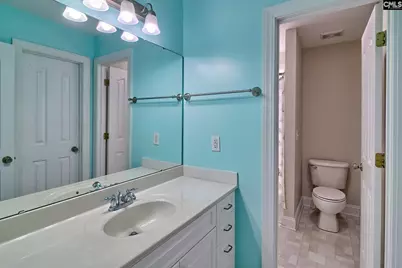 24 Clay Court, Chapin, SC 29036 - Photo 51