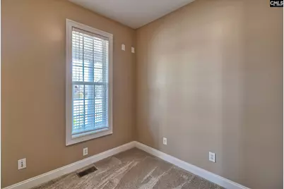 24 Clay Court, Chapin, SC 29036 - Photo 33