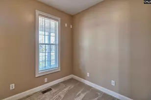 24 Clay Ct, Chapin, SC 29036 - Photo 33