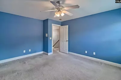 24 Clay Court, Chapin, SC 29036 - Photo 47