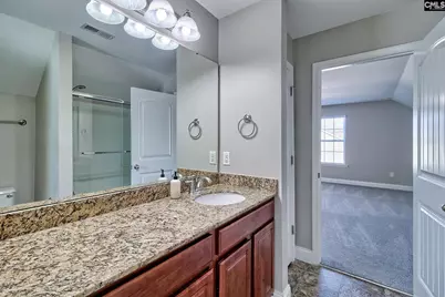 208 Woolbright Lane, Chapin, SC 29036 - Photo 53