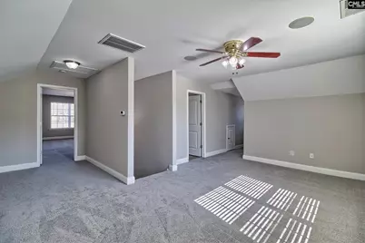 208 Woolbright Lane, Chapin, SC 29036 - Photo 51