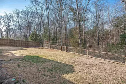 580 Stone Hollow Drive, Irmo, SC 29063 - Photo 47