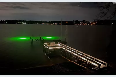 3 Coatbridge Lane, Lexington, SC 29072 - Photo 51