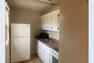 493 B Bushberry Road, Pelion, SC 29123 - Photo 3