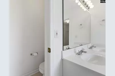 321 Delaine Woods Drive, Irmo, SC 29063 - Photo 37