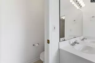 321 Delaine Woods Dr, Irmo, SC 29063 - Photo 37